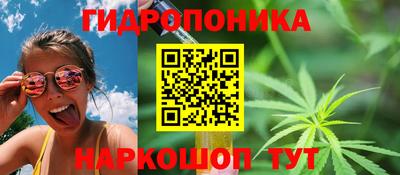 спайс Кимры