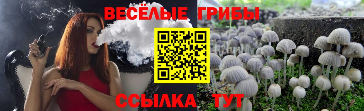 Галлюциногенные грибы Magic Shrooms Кудрово
