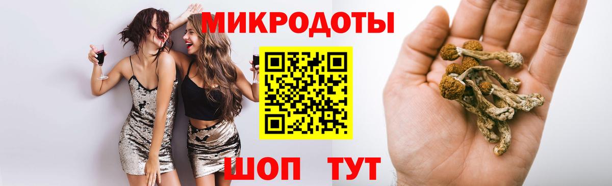 Псилоцибиновые грибы прущие грибы  Галлюциногенные грибы GOLDEN TEACHER  Кудрово  Вход с VPN 